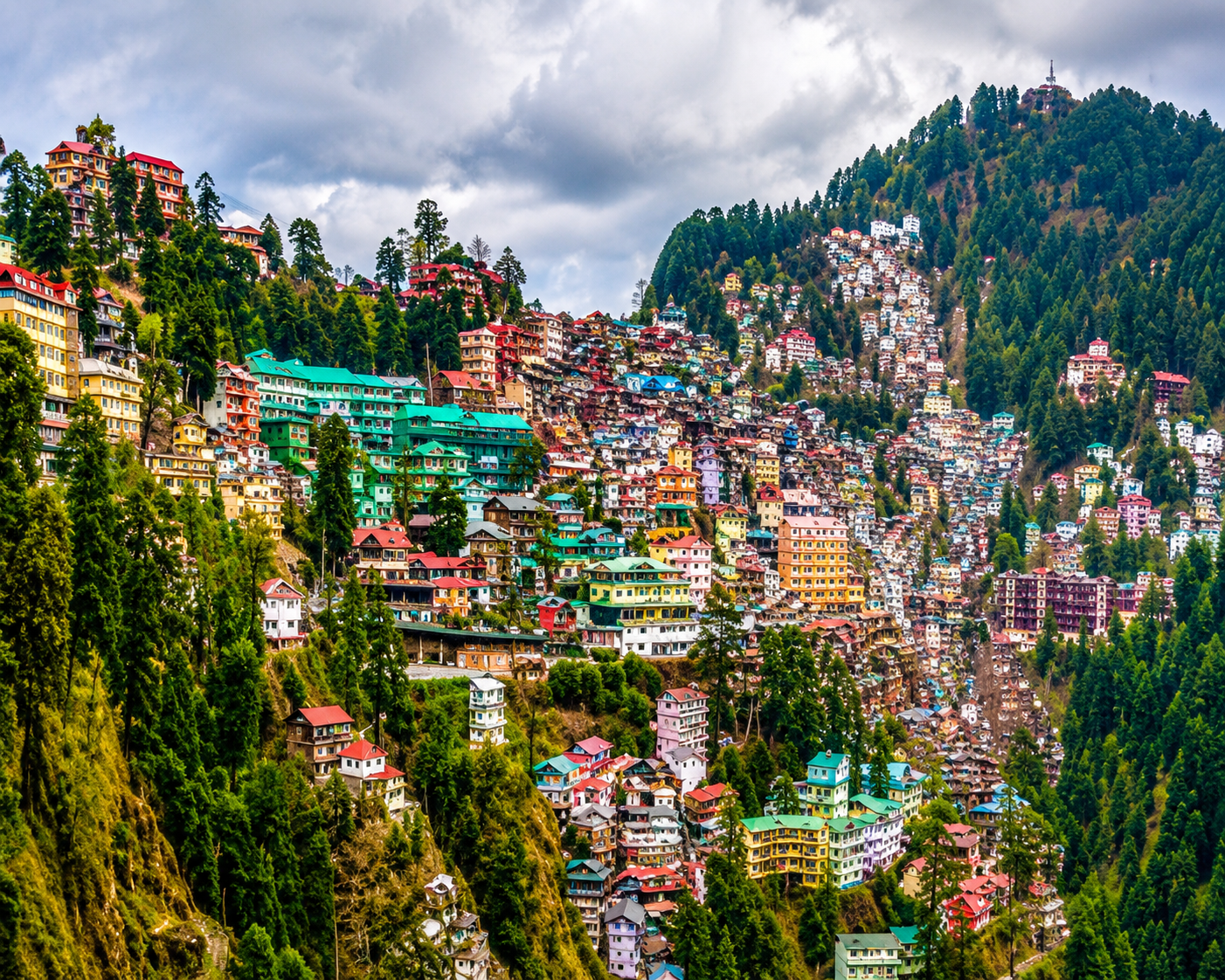 Shimla